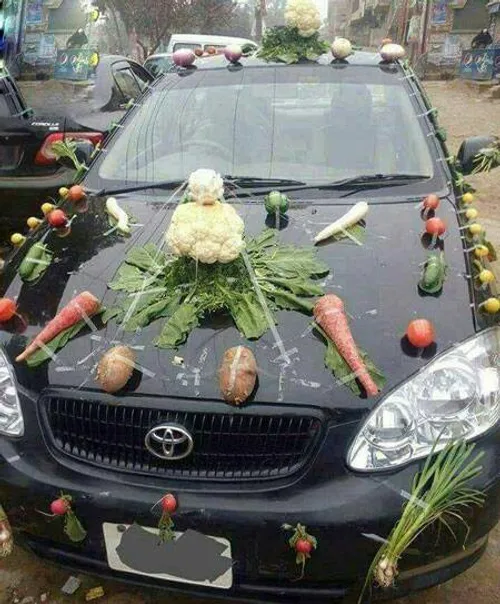 ماشین عروس گیاه خواران