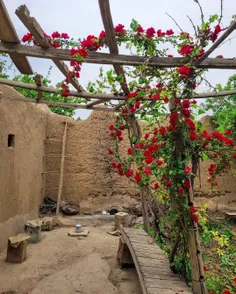 آدم باید میتونست وارد بعضی از عکسا بشه…😍🥹