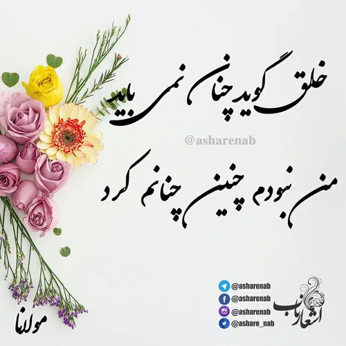 خلق گوید چنان نمی باید