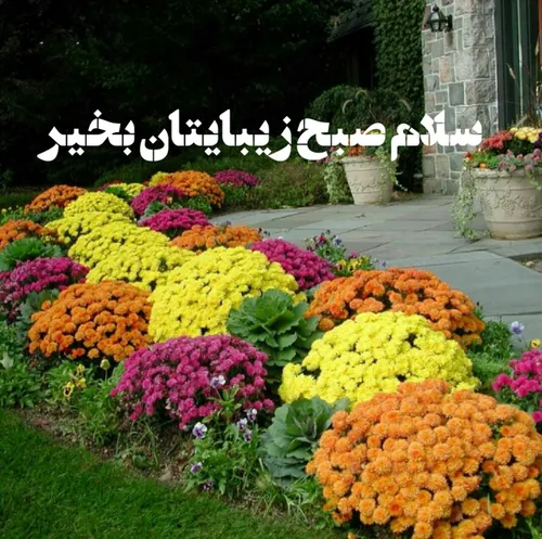 گوناگون ali.1010.sh 16835801 - عکس ویسگون