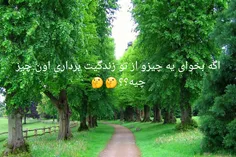 کامنت پلیز