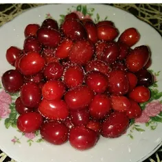 بفرماییـــــــــد  ذغال اخته 😋 