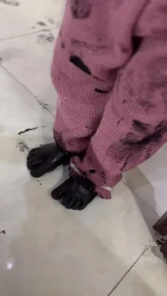 همیشه سبز با طراوت شاداب *Arvij *