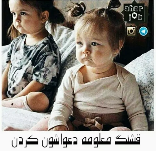 کی دلش اومده این جوجو ها رو دبا تنه ؟! (''- -'')