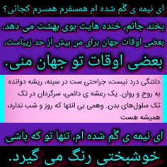 نیمه_گمشده 