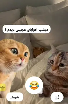 وای میگه بخواب طلاقش بده😅😅