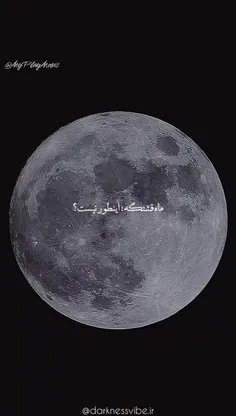 The moon:)🌕