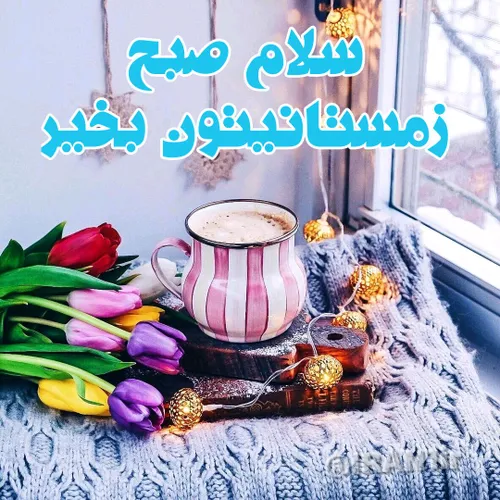 چهار شنبه ها روزمهربانی ست