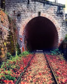 🍁 🚇 🚂  قطار می رود میان کوه