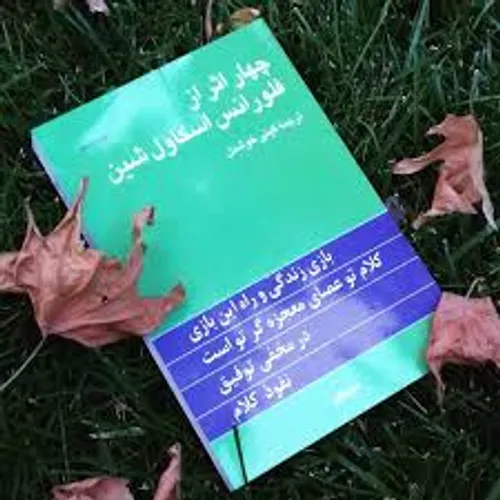 زنی که در حومه شهر زندگی می کرد می خواست خانه و اثاثیه اش