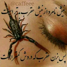 گوناگون leily.s 10953145