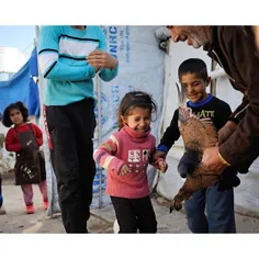 A young girl excited but nervous to touch a pigeon in her