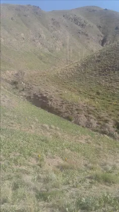 کوهنوردی منو خودم دوتایی😐