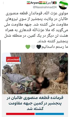 فرمانده طالبان کشته شد