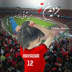 عشق ابدیم،غرورم،افتخارم #پرسپولیسم ❤ 🌟 😍