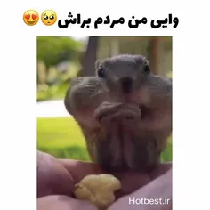 علاقم به حیوانات بیشتر شد😂😍✨