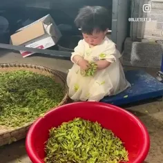 این. درصد لجبازی من🙃😏