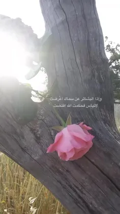 سلام صبحتون بخیر دوستان گلم 🌹🌹