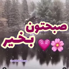 ‌    💞زندگے ڪــــــــــوچه ےِ سبزے است 🍃 میانِ دِل دشت ڪـ