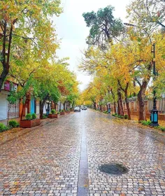 پاییز زیبای شیراز-تبیان امروز 