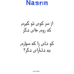 نسرین نانکلی 217