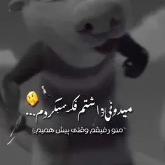 سلامتی  رفیقم