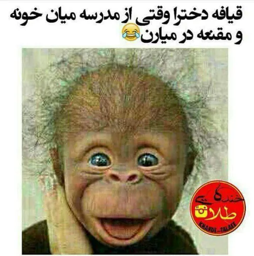 هههههههه