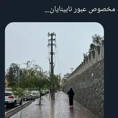 🤦‍♀️😂خط زرده که واسه نابینایان وسط بعد وسط خط زرد تیر چرا