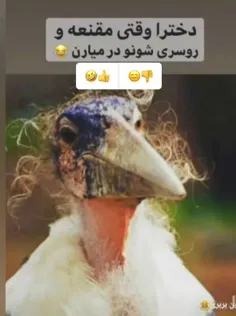 واقعاً