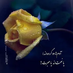 #عاشقانه_های_امیر_علی