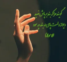 گویند مرا