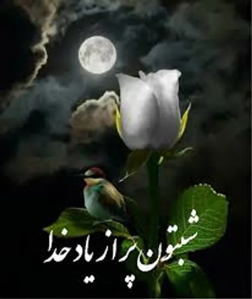 گوناگون mahdi.kalaleh 29471895 - عکس ویسگون