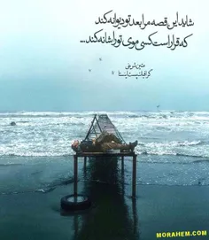 چه دست ها که به نشانه ی «رد» به سینه ی ما نخورده است😔