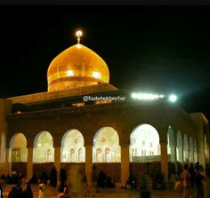 لبیڪ یا زینب (س)