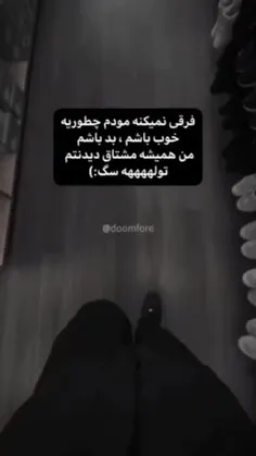 تولههههه سگ :)