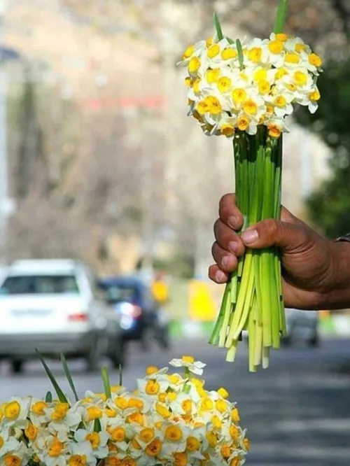 کاش پیدا بشوی