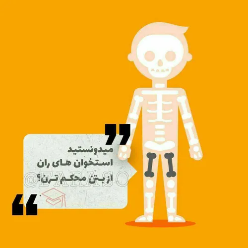 استخوان ران یا فمور بلندترین و قوی ترین استخوان بدن است و