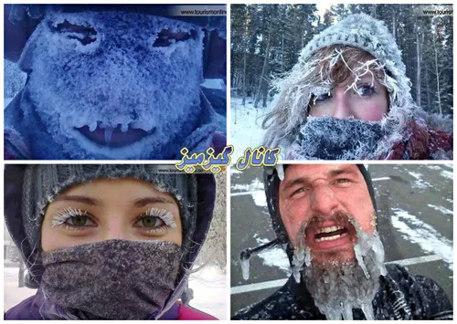 صورت های قندیل بسته در سرمای زمستان