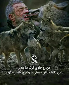 😎با رهبری گله برمیگردم...