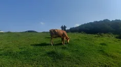 مســ🍒ـافرت  رشــ🏞🏕ـت