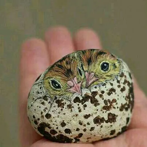 حیواناتی شگفت انگیز از جنس نقاشی روی سنگ