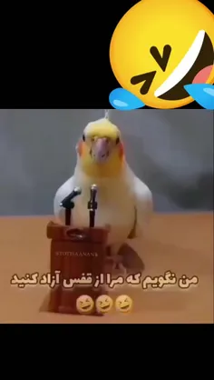 حرف دل ویتو😂💔( ویتو اسم عروس هلندیمه)