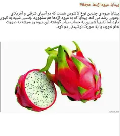 میوه های عجیب