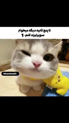 سورپرایز🩷🩷