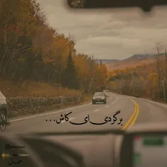 چشام بارونیه..