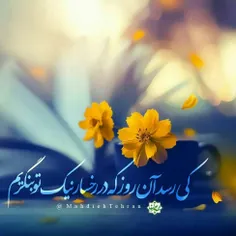 •{اَلسَّلامُ عَلَیکَ یا بَقیَّةَ‌اللهِ فی‌أرضِه}•