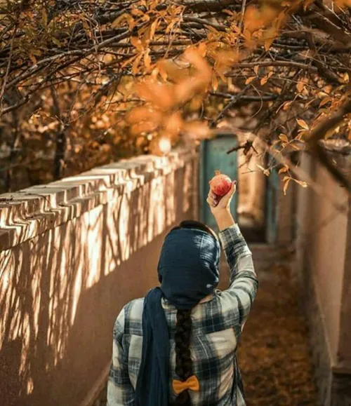 سخن چو میگویی،آفتاب بر میآید،و میپذیرم منکه هیچ زشت و درو...
