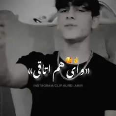 آی هم اتاقی 