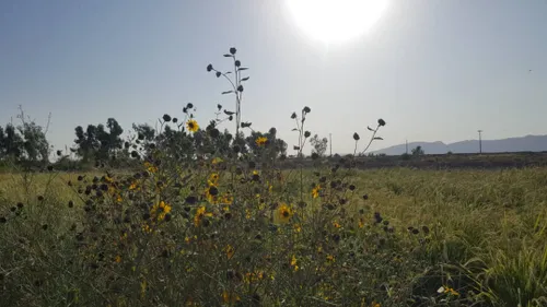 ی روز عالی در طبیعت زیبای دامن بلوچستان