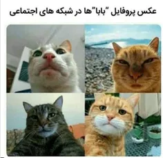 😂😂👌🏻بعضی موارد